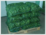 castraveti cornichon